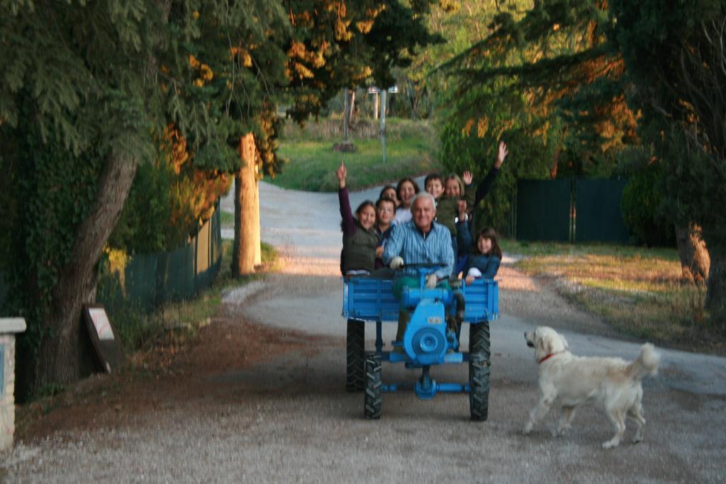 Agriturismo San Lorenzo Della Rabatta Cenerente Chambre photo